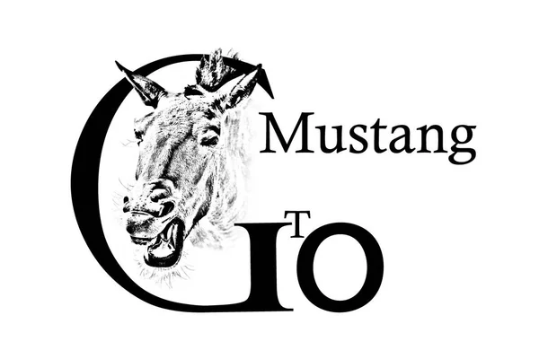Kopf Pferd und Inschrift go, gto, mustang — Stockfoto