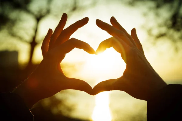 Ezbere kombine eller