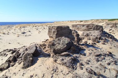 Sandy bölge barkhans ve zavallı bitki örtüsü ile