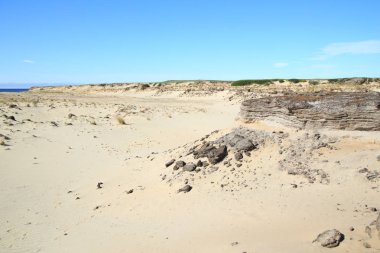 Sandy bölge barkhans ve zavallı bitki örtüsü ile