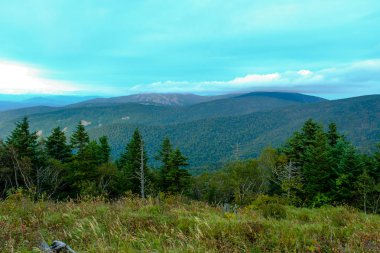 Ahşap ve sırtlar görüntüleme