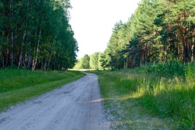 Ahşap de yol göster
