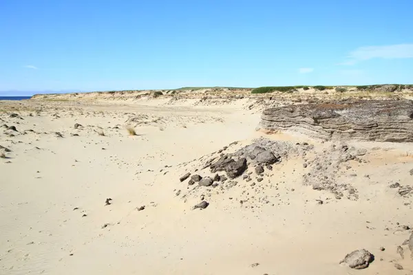 Sandy bölge barkhans ve zavallı bitki örtüsü ile