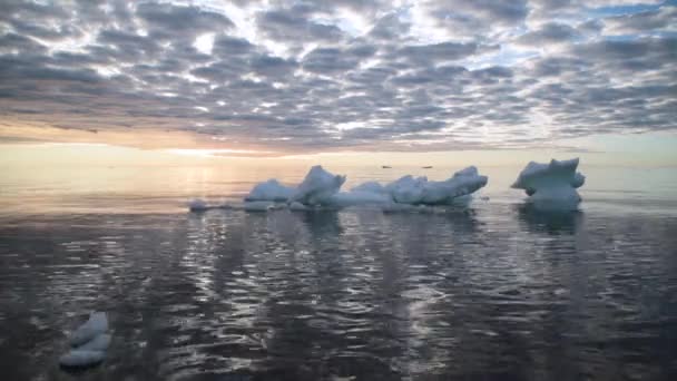 Μικρό Κομμάτι Πάγου Κλονίζει Ένα Κύμα Της Θάλασσας — Αρχείο Βίντεο
