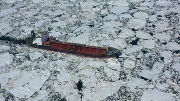 Anadyr Chukotski地域 ロシア 6月11 2019 Chukotka タンカーはAnadyrsky湾の高密度の氷の中を移動します ドローン上からの撮影 — ストック動画