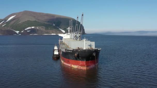 Beringovskiy Chukotski Region Russia June 2019 Πλοίο Μεταφοράς Φορτίου Χύδην — Αρχείο Βίντεο