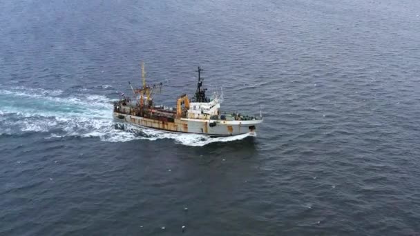 Korf Distretto Olyutorsky Kamchatka Krai Russia Novembre 2019 Barca Pesca — Video Stock