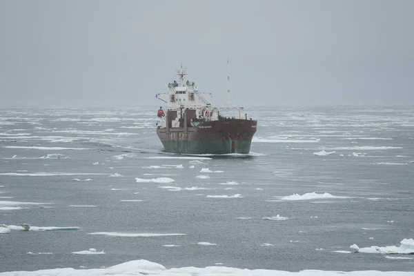 The Gennady Tsygankov bulk carrier floats among ices. — Stockfoto