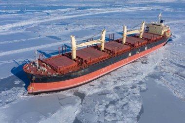 Afrikalı sümsük kuşu taşıyıcısı bir buz alanı ile çevrili..