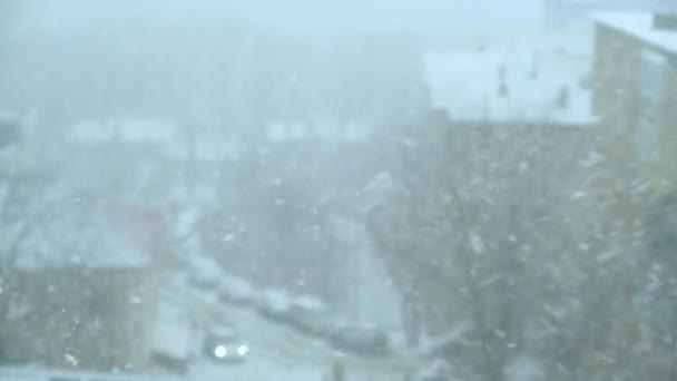 Fortes Chutes Neige Denses Une Forte Tempête Souffle Est Enlevé — Video