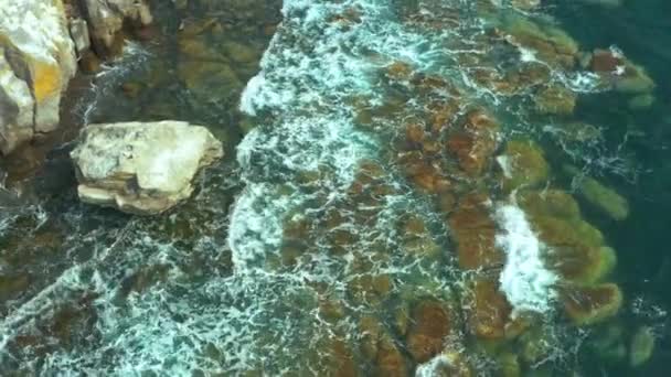 Pièges Côtiers Visibles Travers Une Vague Mer Courante Mousse — Video