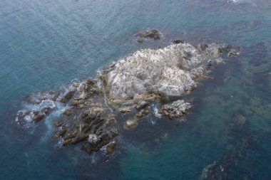 Deniz suyu kıyı taşlarında dalgalanır ve onlara karşı kırılır..
