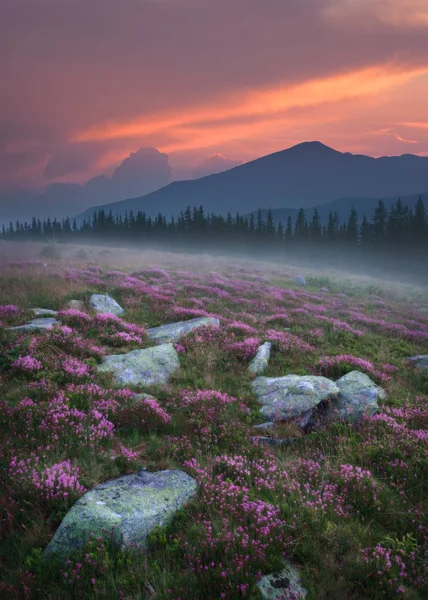 Gün batımında Romanya güzel dağ manzarası — Stok fotoğraf