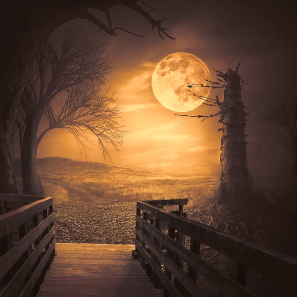 Жуткий лес с лунным светом в качестве сцены Хэллоуина — стоковое фото