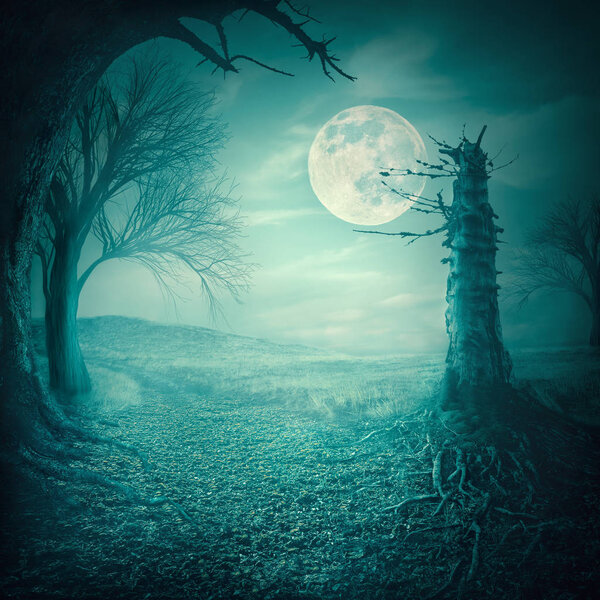 Mystical autumn forest with dead trees and roots at moody full moon night. Halloween scary background concept.