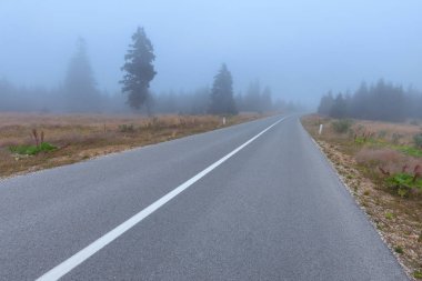 Kötü hava, dağ ormandaki asfalt yol