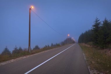 Dağ orman ürkütücü alacakaranlıkta boş düz yolda