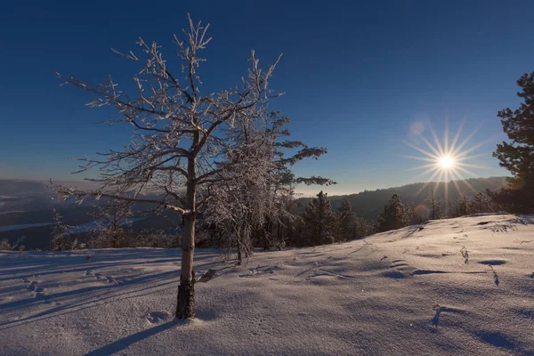 Paisaje idílico de invierno hacia el sol poniente — Foto de Stock