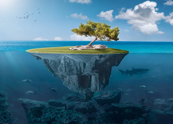 Идиллический маленький остров с одиноким деревом глубоко в океане — стоковое фото