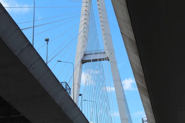 A fragment of the cable-stayed bridge. Steel masts and cables holding the roadway.