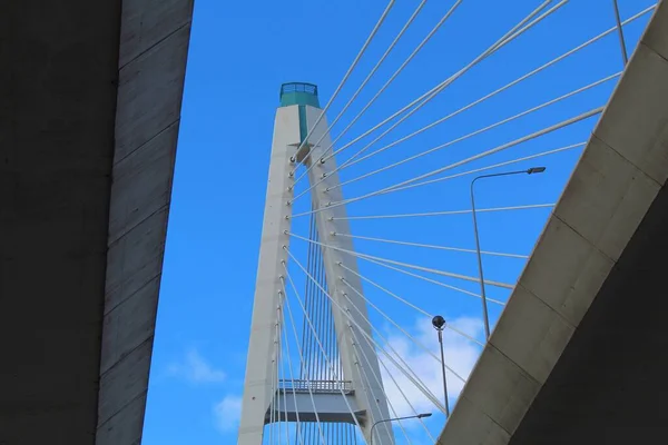 A fragment of the cable-stayed bridge. Steel masts and cables holding the roadway.
