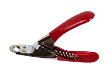 Hayvanları kırpma maşası beyazda izole edilmiş..