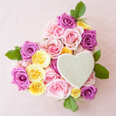 Arka plan olarak renkli gül