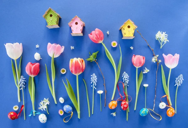 Colorful Wiosna Kwiaty na niebiesko — Zdjęcie stockowe