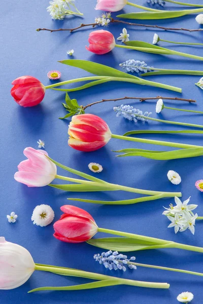 Kleurrijke Lentebloemen op blauw — Stockfoto