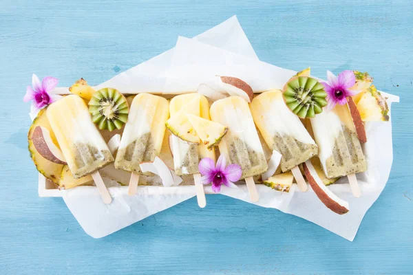 Hemlagad frysta popsicles — Stockfoto