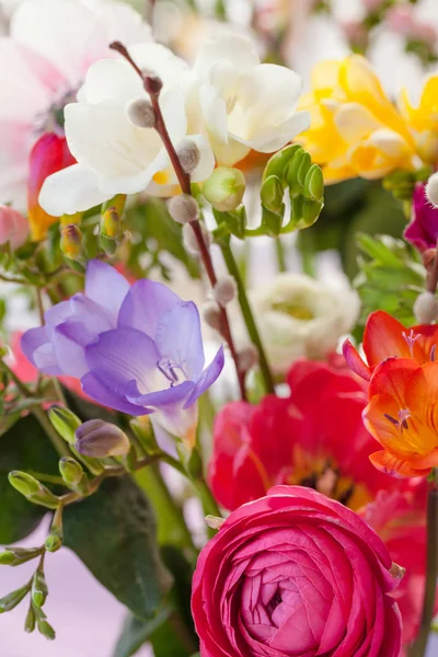 Penuh warna bunga musim semi — Stok Foto