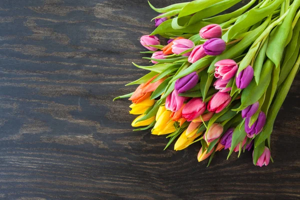 Tulpen in leuchtenden Farben — Stockfoto