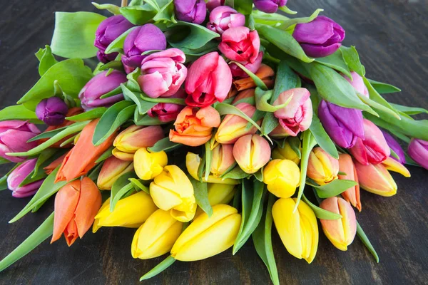 Tulpen in felle kleuren — Stockfoto