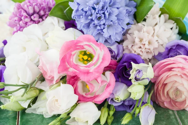 Variety of spring flowers — Stock Photo, Image