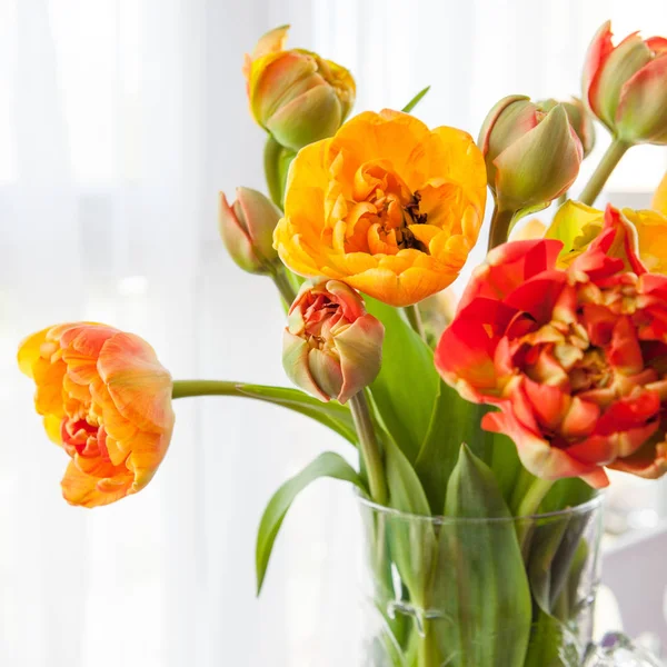 Verse tulpen in een vaas — Stockfoto
