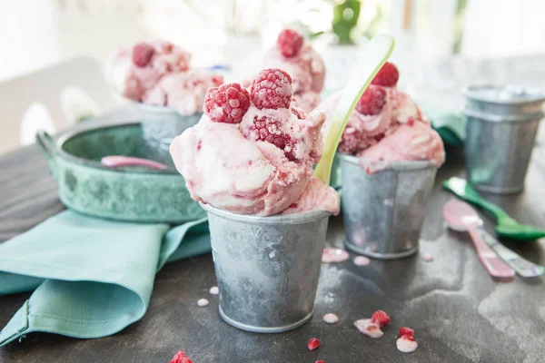 Gelato al lampone fatto in casa — Foto Stock