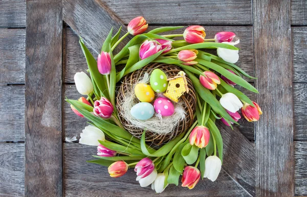 Easter nest with tulips — Stock Photo, Image