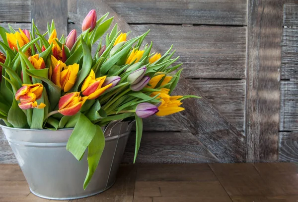 Kleurrijke tulpen in vintage emmer — Stockfoto