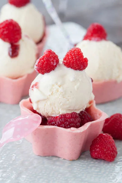 Vanilla ice cream with raspberries — Stock Photo, Image