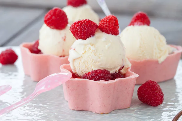 나무 딸기와 바닐라 아이스크림 — 스톡 사진