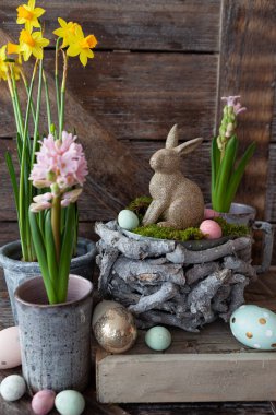 renkli bahar çiçekleri