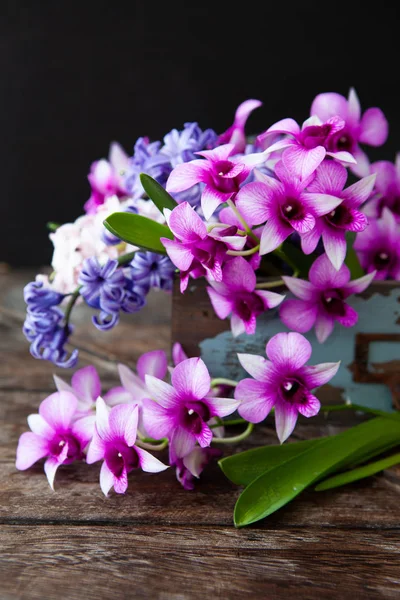Verse orchideeën en hyacinten — Stockfoto