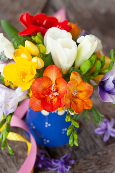 Kleurrijke Lentebloemen — Stockfoto