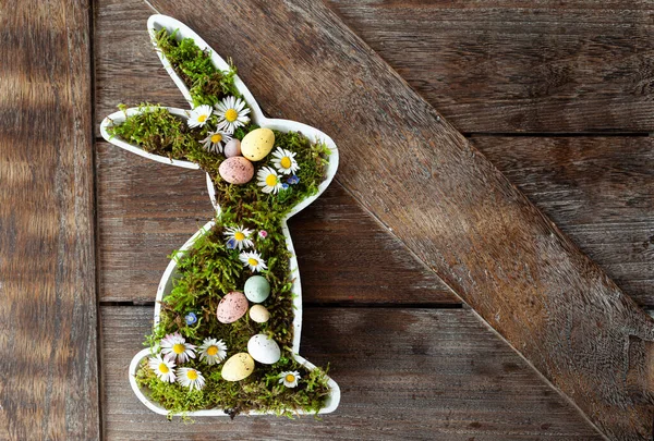 复活节兔子 有苔藓和雏菊小花 — 图库照片