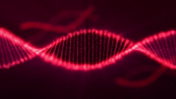 Naadloze animatie rotatie deeltjes molecuul van een levend genetisch DNA en celdeling element strand achtergrond patroon gebruikt voor biologie Science Education in 4k Ultra HD-lus — Stockvideo