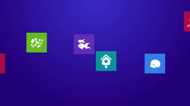Modny komputera lub aplikacji mobilnej aplikacji program animacji płasko domowych zwierząt i akcesoria obiektu ikony menu w tło okna kolorowe geometryczne kwadratowego bloku w rozdzielczości 4k ultra hd — Wideo stockowe