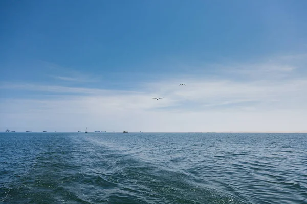 Dos gaviotas volando alto en el aire azul, agitando sus alas — Foto de Stock