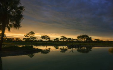 Güney Afrika Etkin Park göl kıyısında günbatımı 