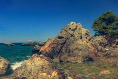 Turkuaz mavi se bakan çam ağacı ile kayalık sahil