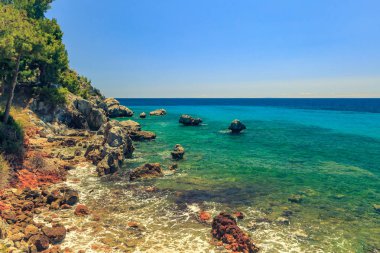 Turkuaz mavi se bakan çam ağacı ile kayalık sahil